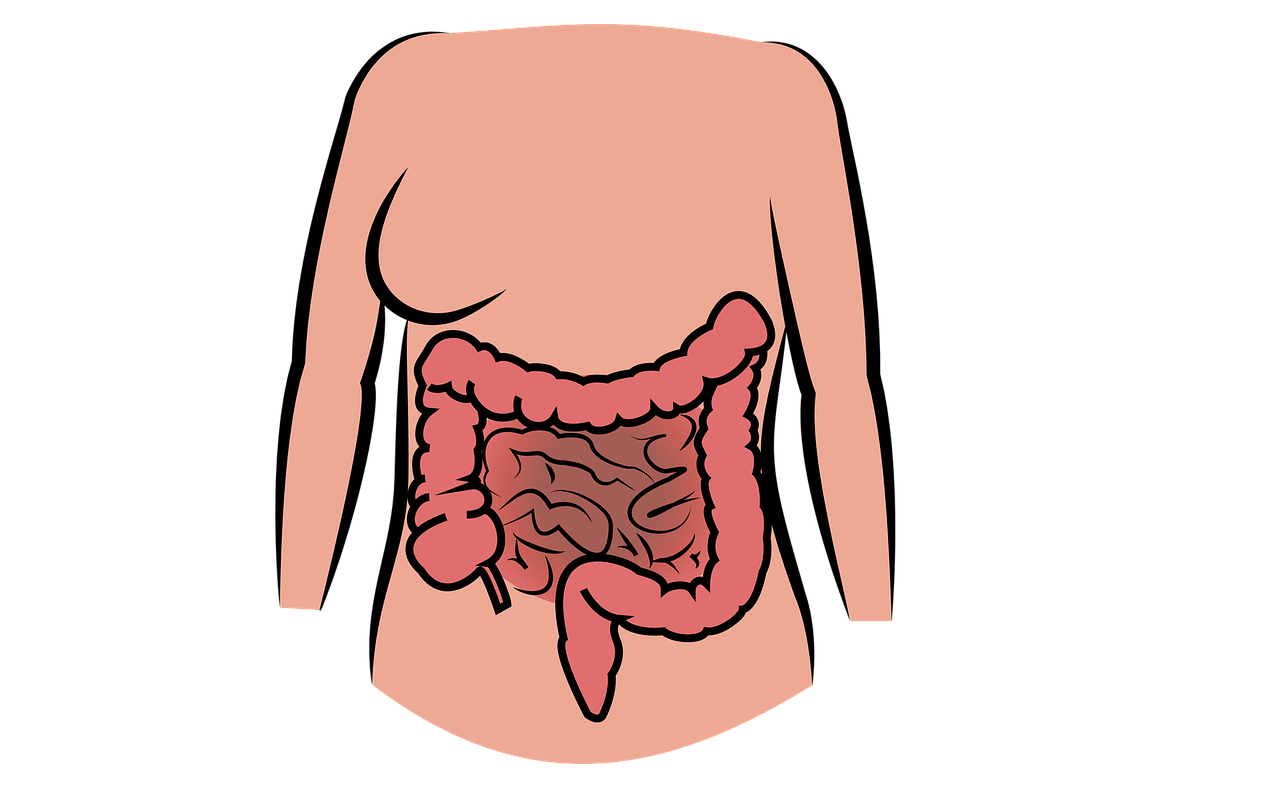 ¿Qué secuelas deja el Covid en los intestinos?